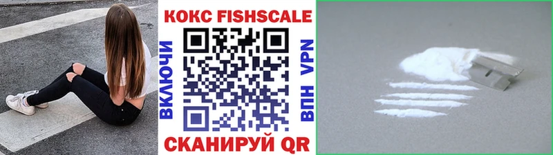 Купить закладки Кулебаки Кокаин FishScale
