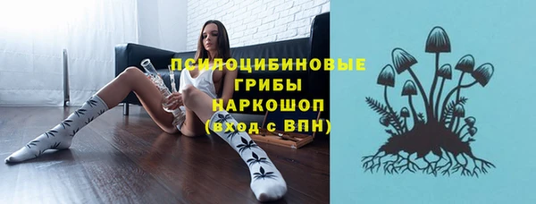 PSILOCYBIN Горняк