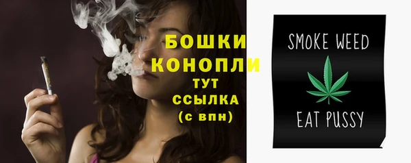PSILOCYBIN Горняк