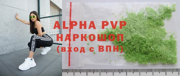 PSILOCYBIN Горняк