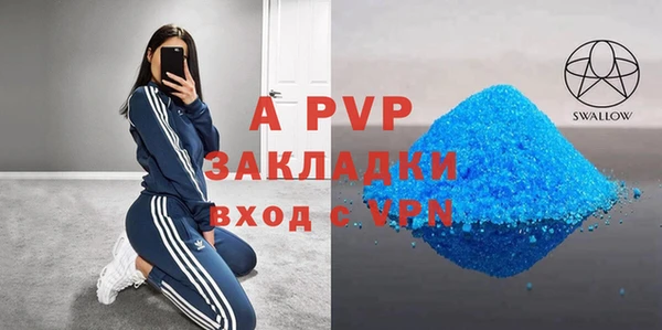 PSILOCYBIN Горняк