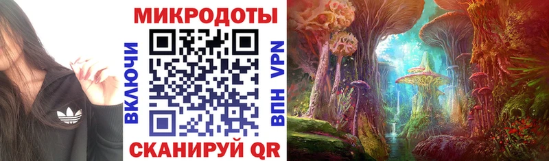 Купить  Кулебаки  Псилоцибиновые грибы Psilocybe 
